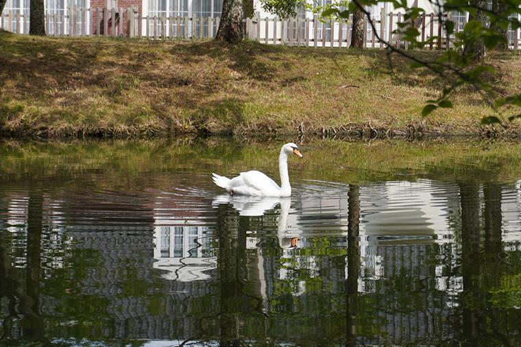 フォレストヴィラ