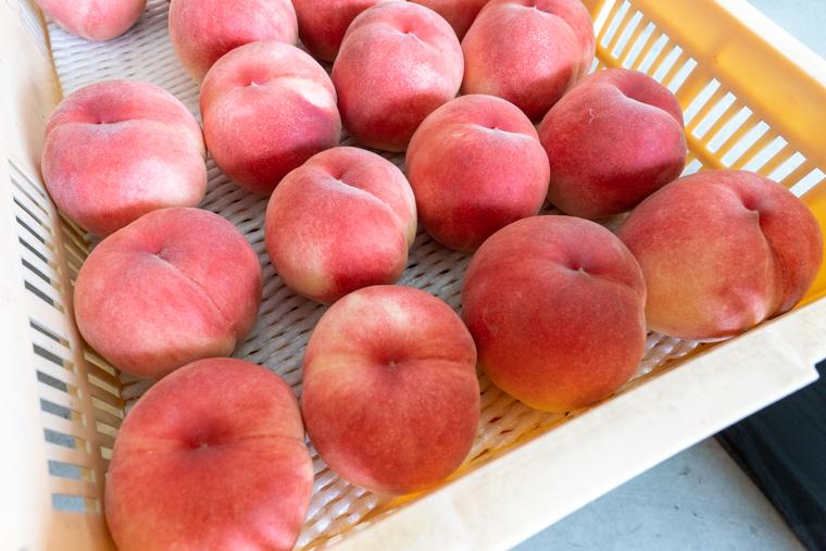 山梨・石和温泉から行ける！朝採れフルーツパフェを楽しめるカフェ