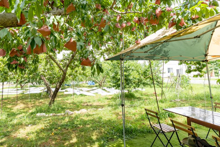 山梨・石和温泉から行ける！朝採れフルーツパフェを楽しめるカフェ