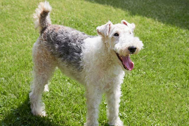 2021年7月開業！箱根で「客室半露天＆足湯」を貸切！源泉かけ流しのリゾートヴィラ