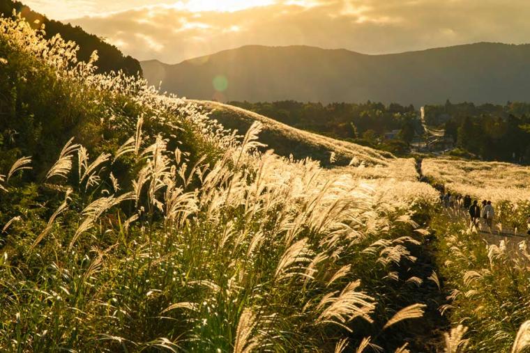 2021年7月開業！箱根で「客室半露天＆足湯」を貸切！源泉かけ流しのリゾートヴィラ