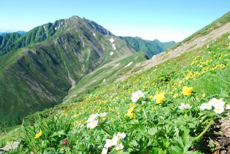 南アルプス国立公園