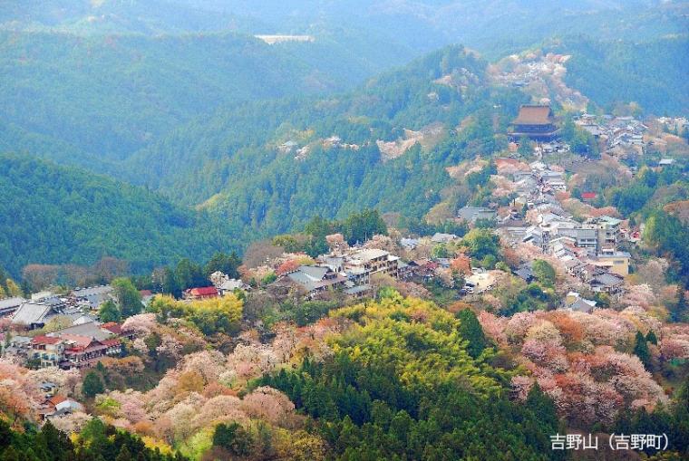 吉野熊野国立公園