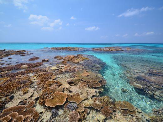 西表石垣国立公園