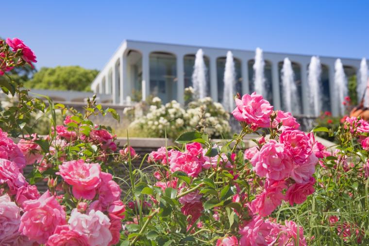王侯貴族のバラ園