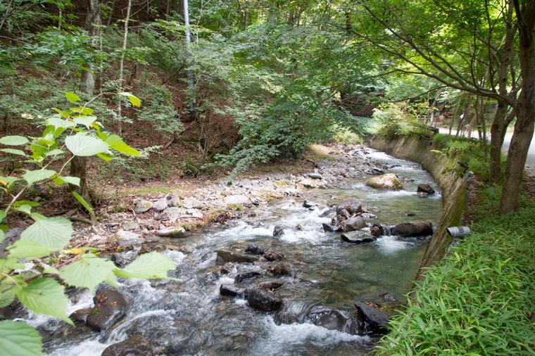 扉温泉 明神館 散歩道を歩いて自然との出会いを楽しむ