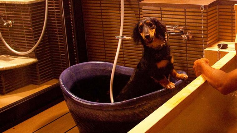 おごと温泉 暖灯館 きくのや