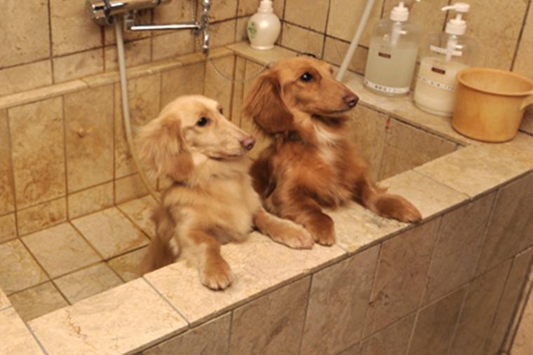 阿蘇温泉御宿 小笠原