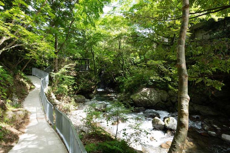 万葉公園 湯河原総湯 Books & Retreat