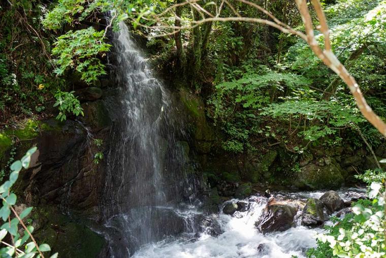 万葉公園 湯河原総湯 Books & Retreat