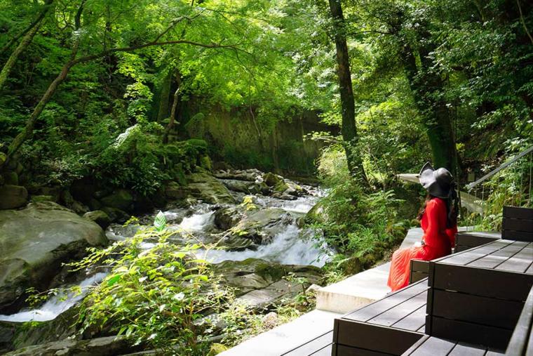 万葉公園 湯河原総湯 Books & Retreat