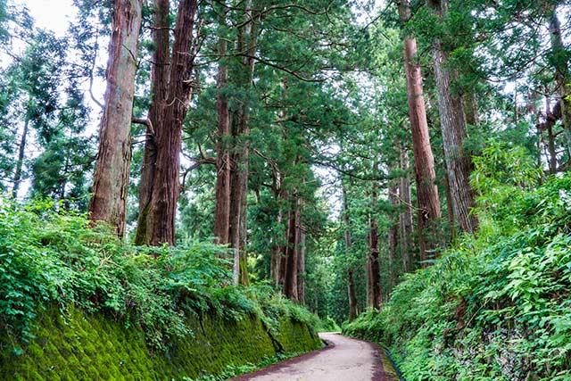 世界遺産地区　日光　サイクリング