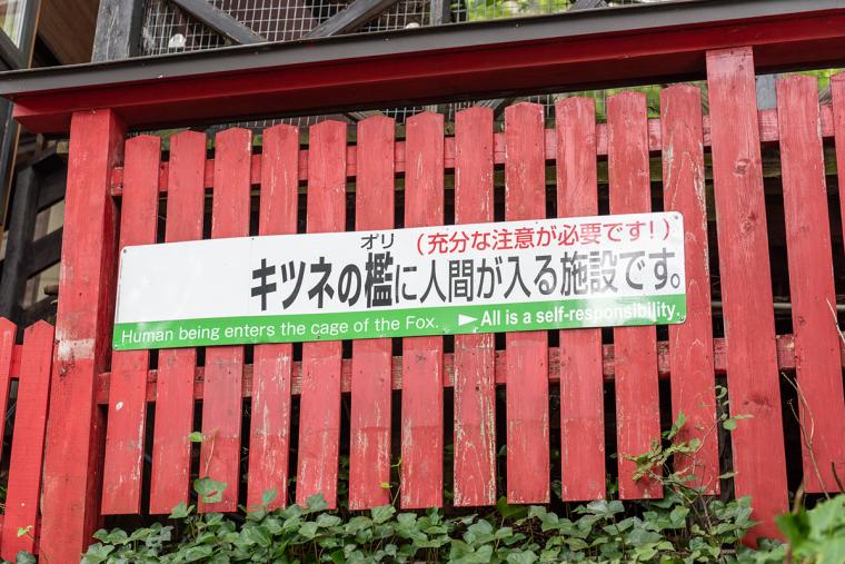 宮城蔵王キツネ村