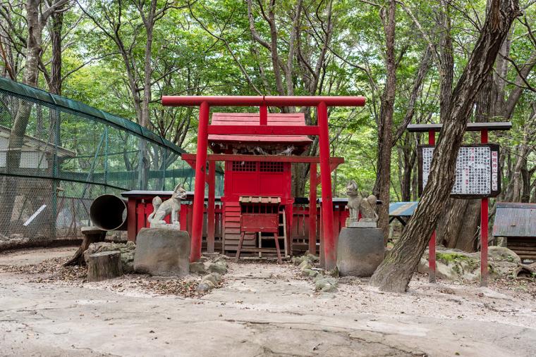 宮城蔵王キツネ村