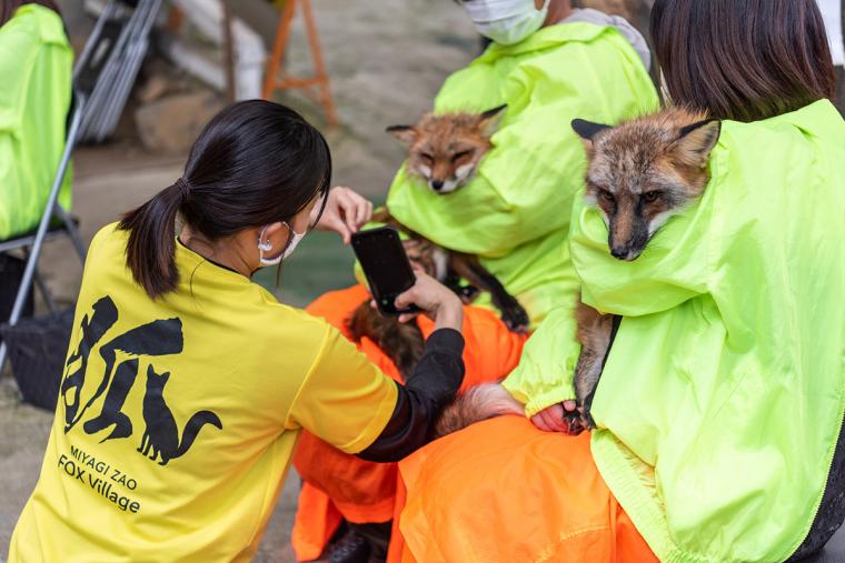 宮城蔵王キツネ村