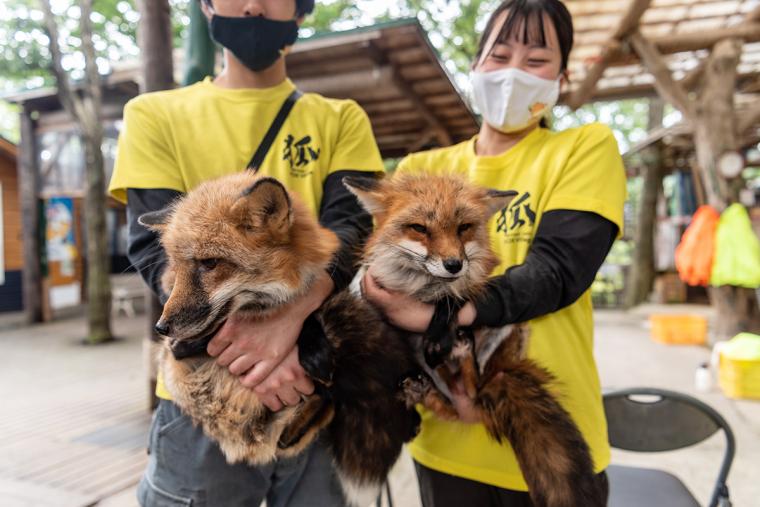 宮城蔵王キツネ村