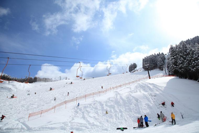 若杉高原おおやスキー場