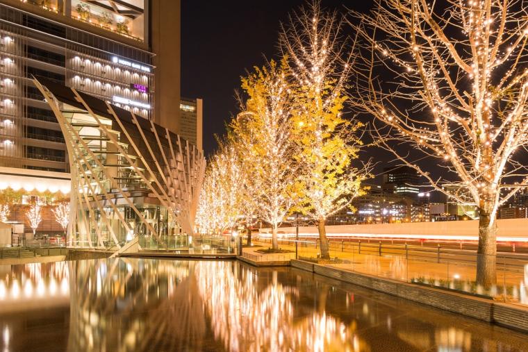 シャンパンゴールドイルミネーション