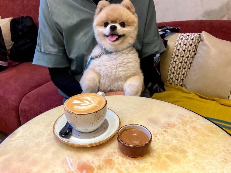 キンプトン新宿東京