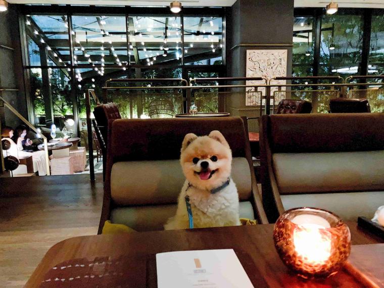 キンプトン新宿東京