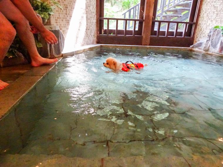 ペットと泊まれる森のホテル　ホテル四季の蔵