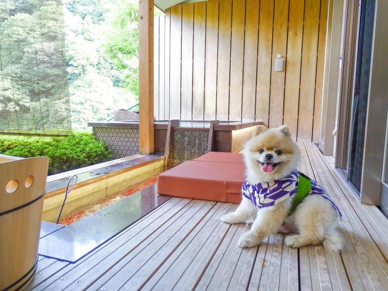 下湯原温泉　わんこと泊まれる宿　わんこあん