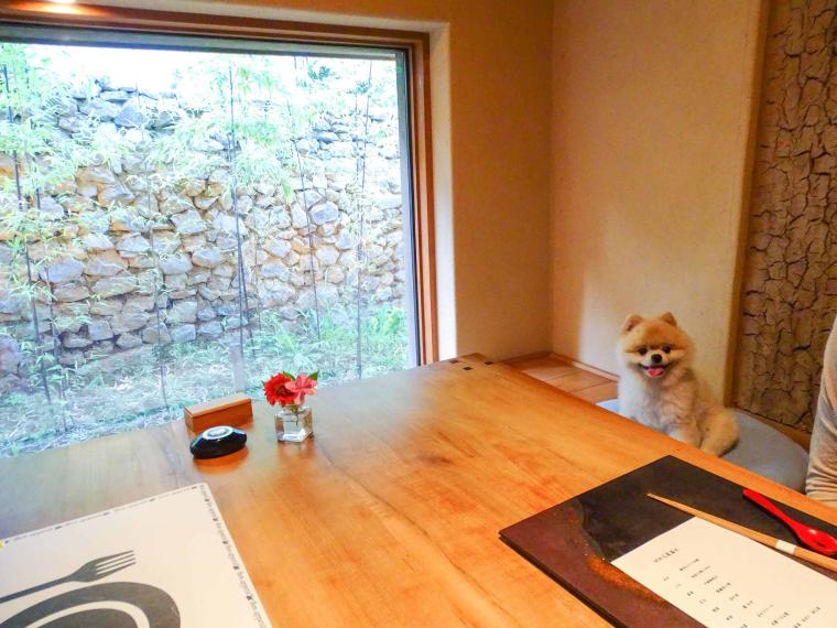 由布院温泉 湯富里の宿 一壷天