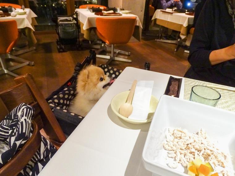 レジーナリゾート富士での食事