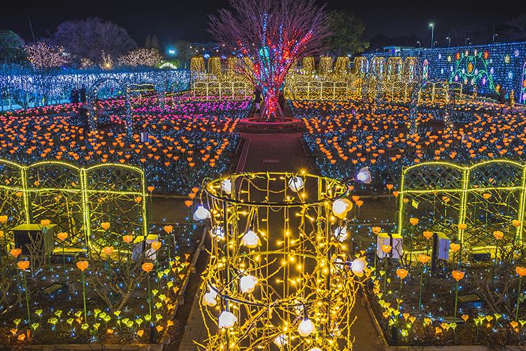 あしかがフラワーパーク「光の花の庭」