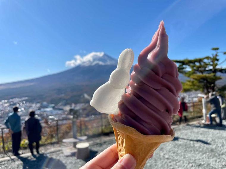 ～河口湖～富士山パノラマロープウェイ　巨峰ソフト