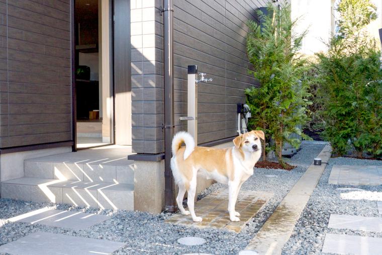 Rakuten STAY 富士 河口湖駅　ペット　ワンちゃん