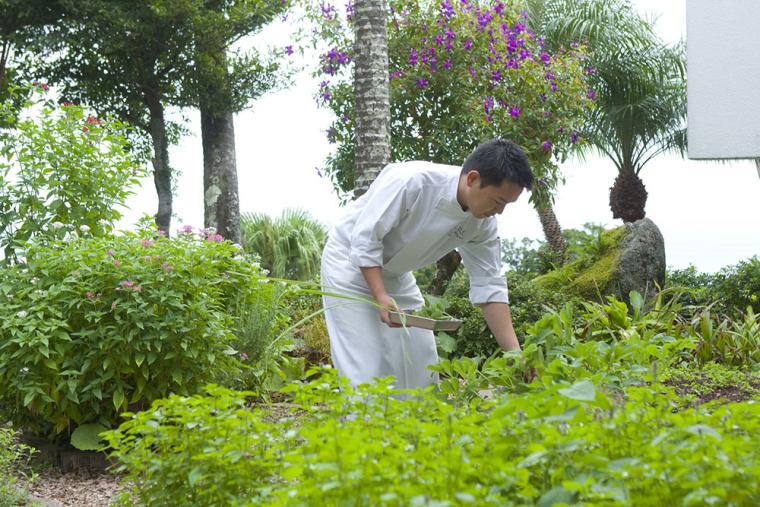 サンカラ屋久島 レストランokas