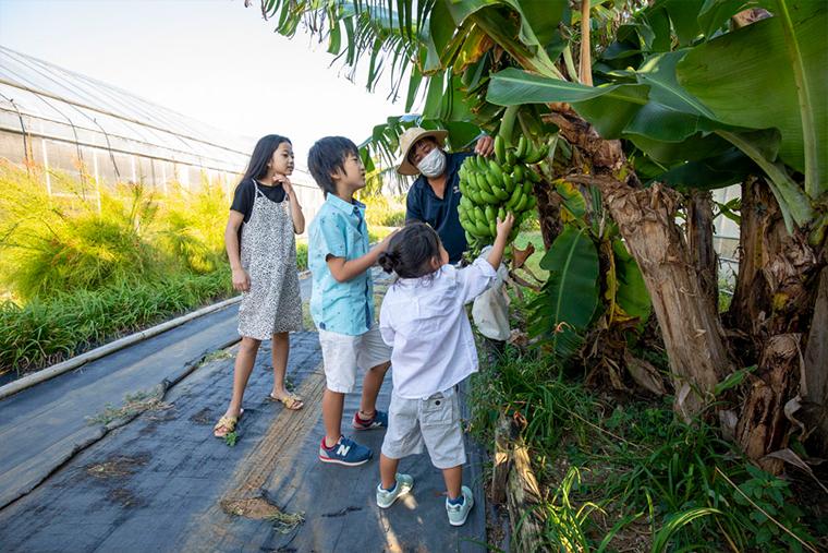 ジ・ウザテラス　Our Farm