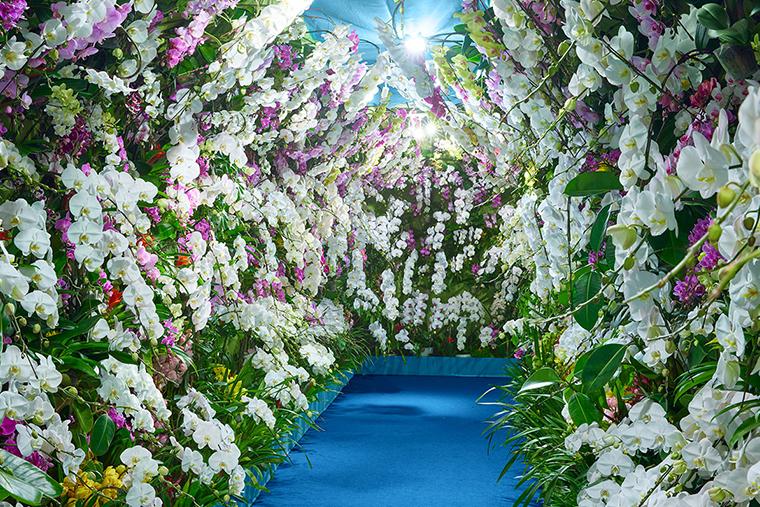 ハウステンボス　フラワーパサージュ