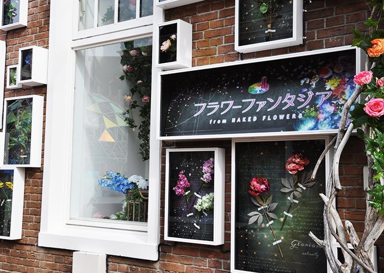 ハウステンボス　光のファンタジアシティ