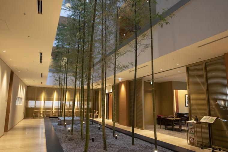 天然の孟宗竹のアトリウム