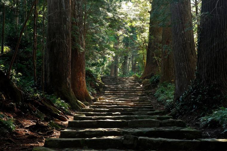 熊野古道　大門坂