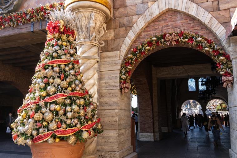 東京ディズニーシー　クリスマス　輝くツリーがゲストをお迎え