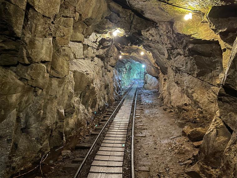 屋久島 縄文杉トレッキング