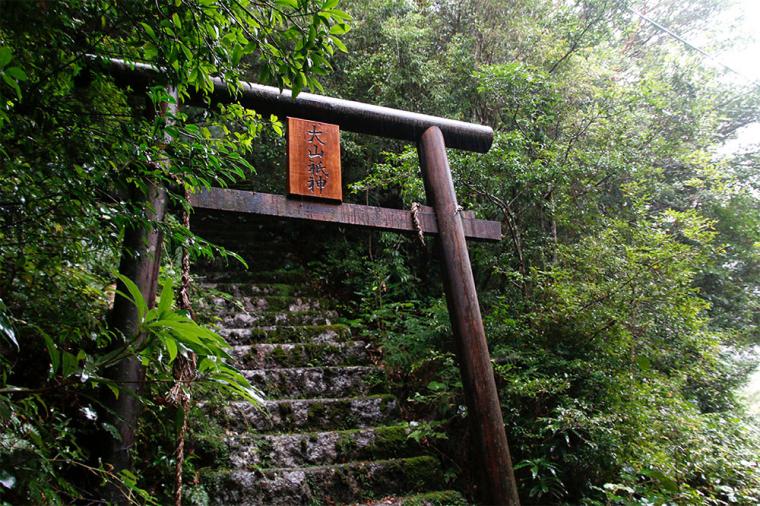屋久島 縄文杉トレッキング