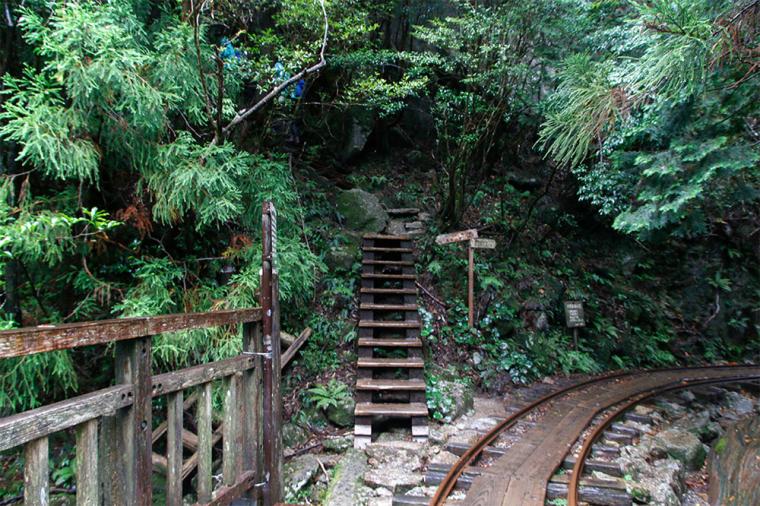 屋久島 縄文杉トレッキング