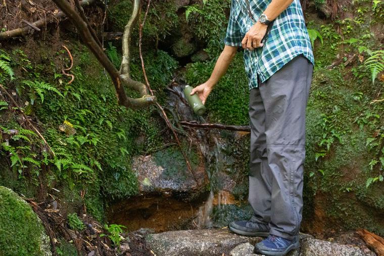 屋久島 縄文杉トレッキング