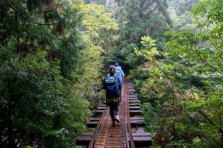 屋久島 縄文杉トレッキング