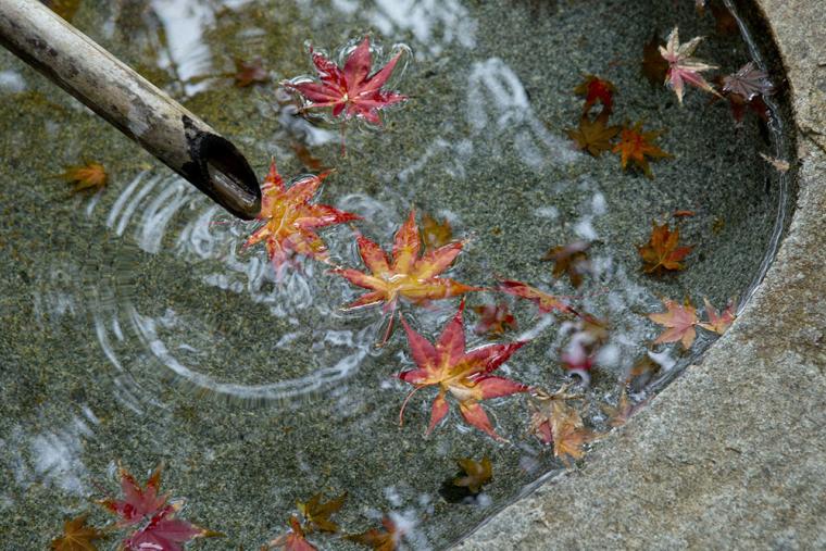 山科伯爵邸 源鳳院