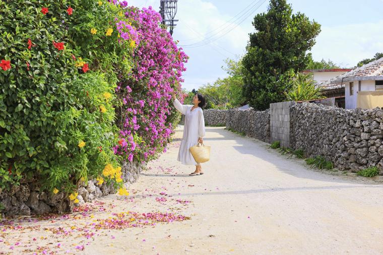 竹富島 ブーゲンビリア