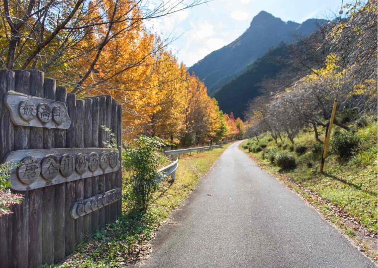 松阪わんわんパラダイス　森のホテルスメール