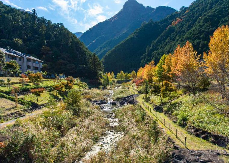 松阪わんわんパラダイス　森のホテルスメール