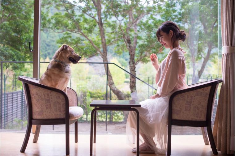 松阪わんわんパラダイス　森のホテルスメール