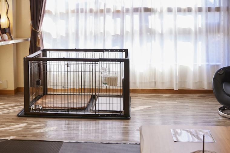 愛犬お宿　伊豆高原