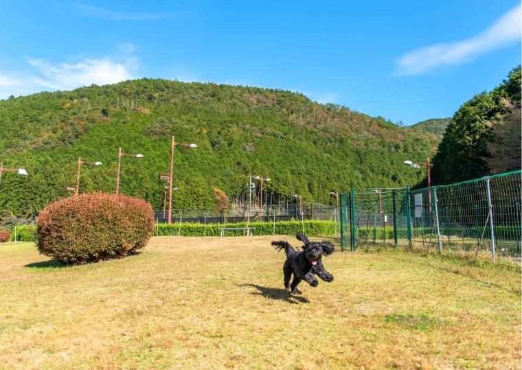 松阪わんわんパラダイス　森のホテルスメール